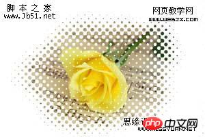 photoshop 蒙版的使用